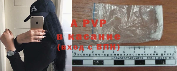 стафф Алзамай
