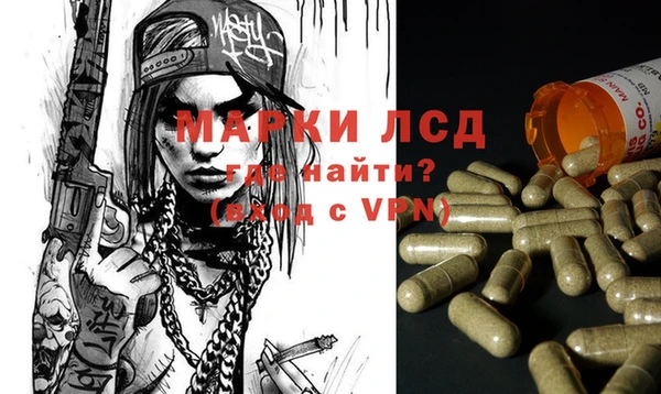 стафф Алзамай