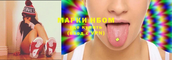 стафф Алзамай