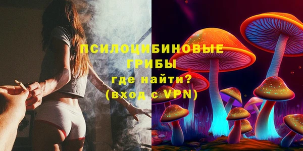 круглые Алексеевка