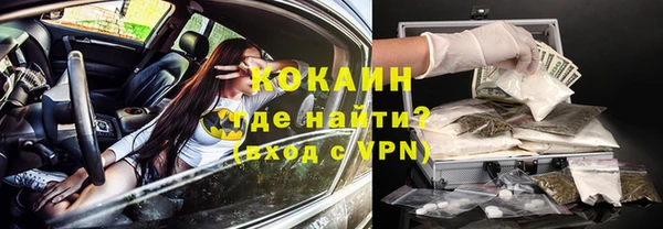 стафф Алексин