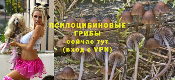 СК Абаза